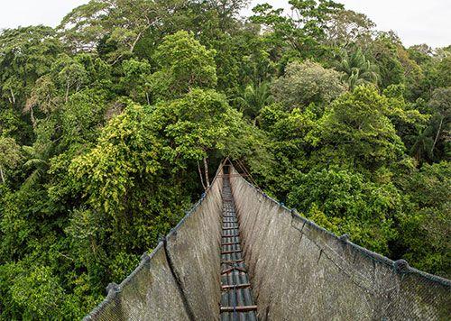 peru jungle trip