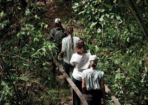 peru jungle trip