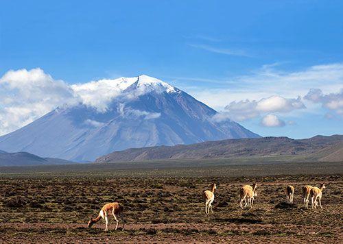 inca travel peru arequipa