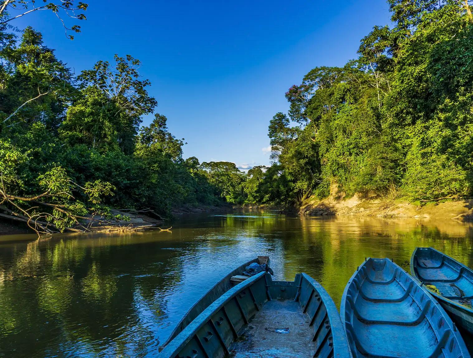 peru jungle trip