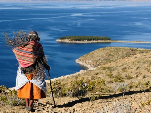 An indigenous woman carrying a bundle of sticks on an island in Lake Titicaca.