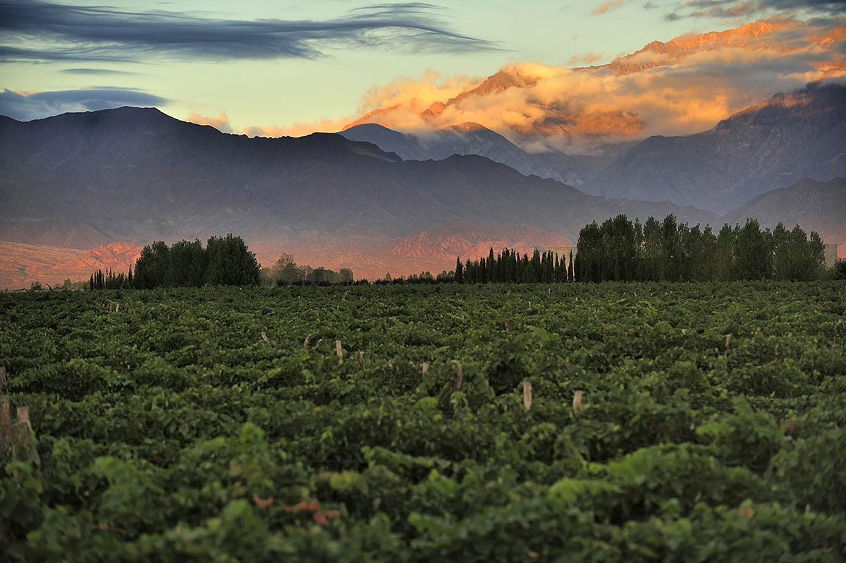 The vineyards of Mendoza with mountains and clouds, one of the top places to visit in Argentina.