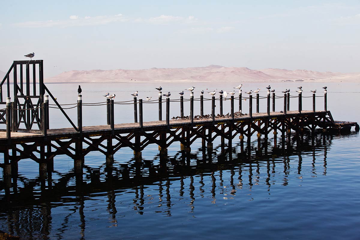 Birds perched on the El Chaco pier on the calm waters of the Paracas Bay. 