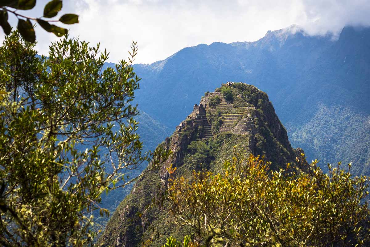 Huayna Picchu ruins and terraces built on the side of a green mountain seen through the trees