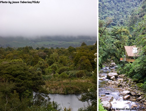 Photo collage of Manu Biosphere Reserve, Peru