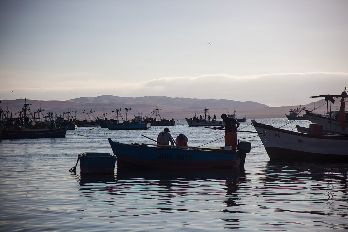 Silhouette of fishing boats on the Paracas Bay. 