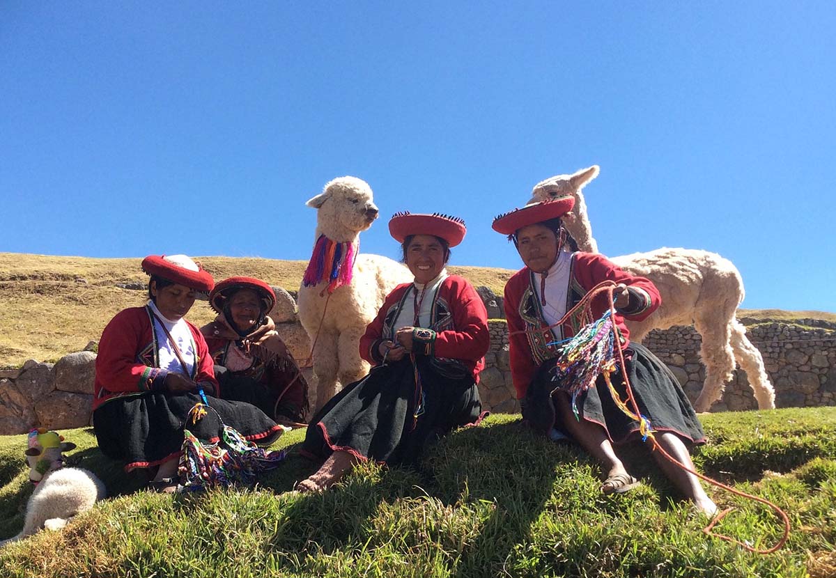 Four Andean women in traditional clothes sit in the grass with two white alpacas standing near them.