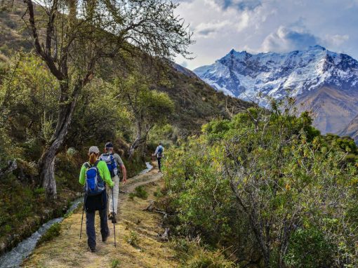 Group of 1 woman and 2 men hiking a green mountain trail toward a snowcapped peak in the Andes.