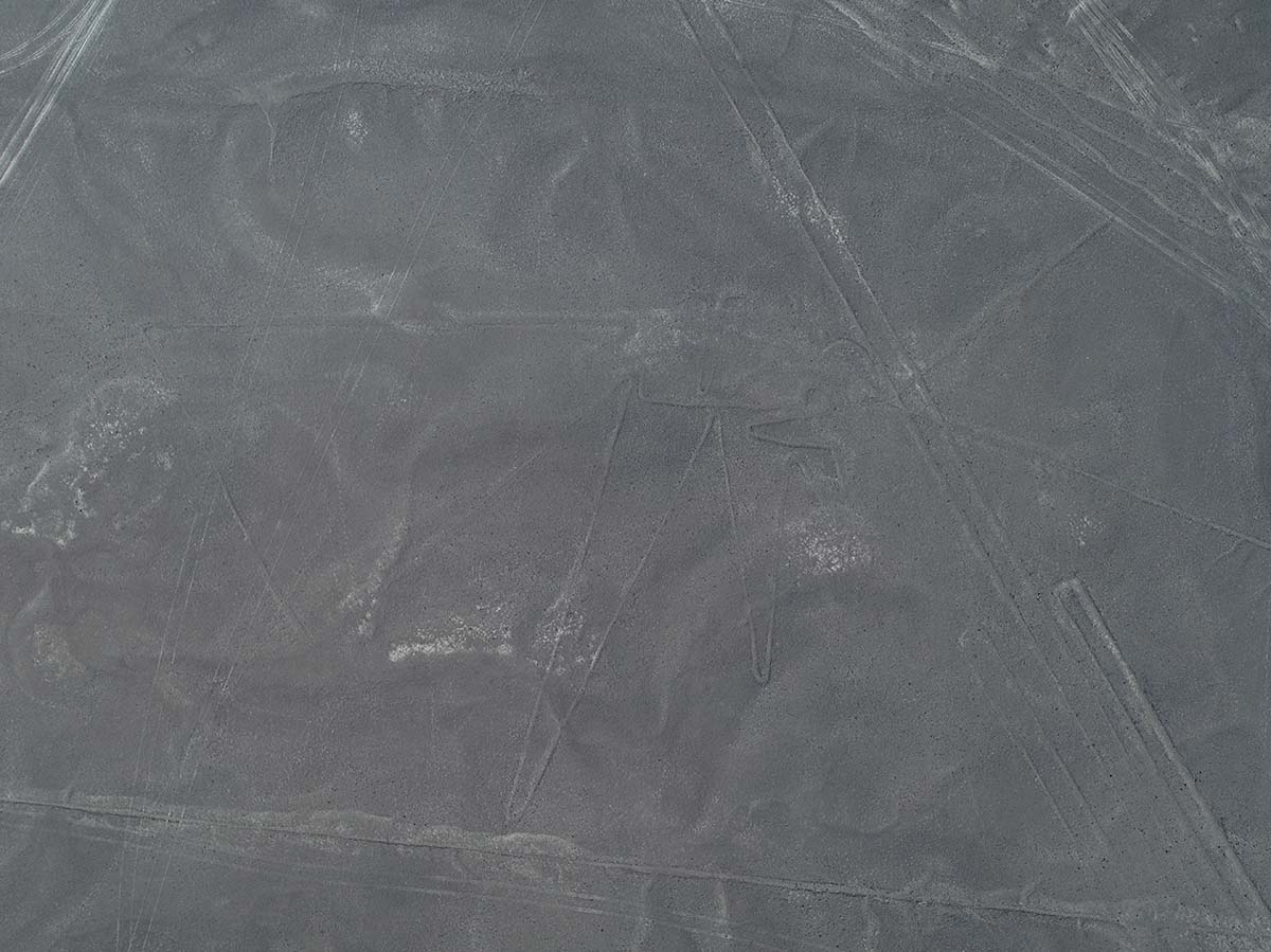 A bird shape along with several lines etched into the Nazca Desert.