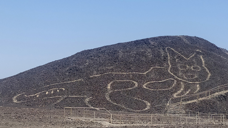 A mound with an etching of a cat relaxing and laying belly up. The geoglyph is over 2,000 years old