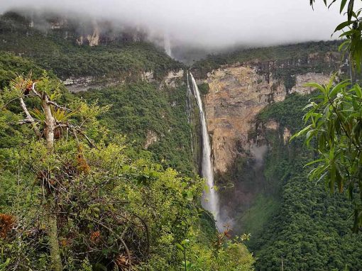 A tall waterfall surrounded by lush jungle greenery.