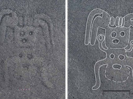 A new Nazca Line of a human figure wearing a headdress. A processed image identifies the lines.
