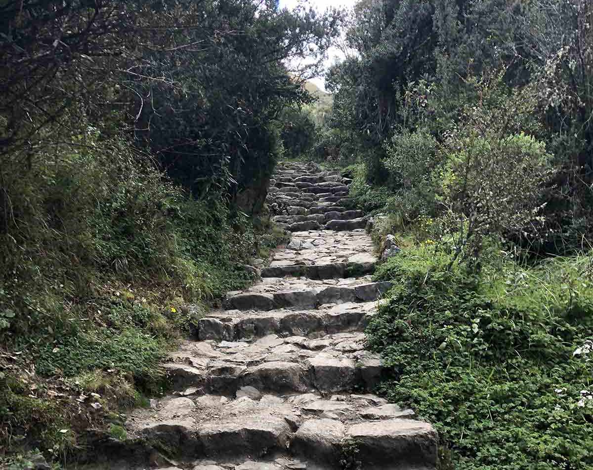Grey stone pathways on the Inca Trail to Machu Picchu with green forests around and blue sky above