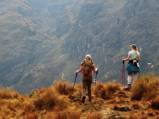 Two hikers with hiking poles walking through a field on the Inca Trail to Machu Picchu.