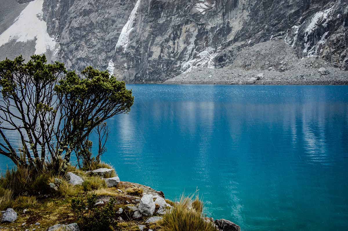 A close up of the turquoise water of Laguna 69 with shrubs in front and rocky mountains behind. 