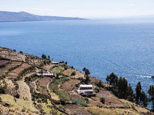 High angle of terraces on Taquile Island with Lake Titicaca and Amantani Island in background.