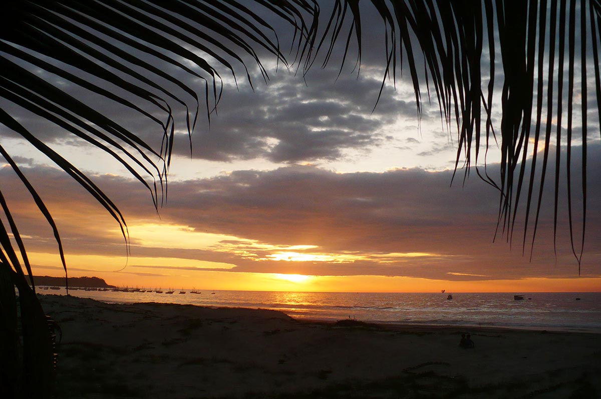 Orange and purple sunset at Los Organos beach framed by palm leaves.