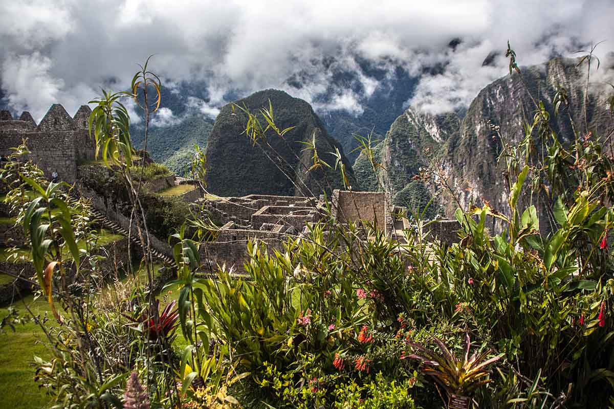 Green vegetation and red flowers typical of a cloud forest climate surround the Machu Picchu ruins.
