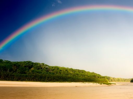 A rainbow stretches across the sandy banks of the Amazon River in Manu National Park.