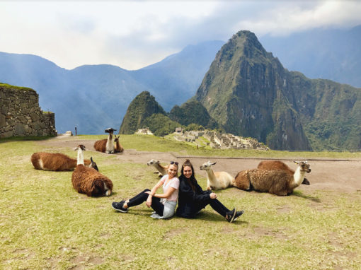 Two girls sitting on the ground with llamas surrounding them and the famous Machu Picchu peak in the background on a clear day
