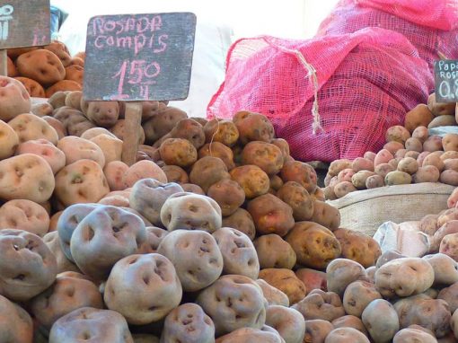 A variety of different types of locally-grown Peruvian potatoes on sale at a market in Peru.