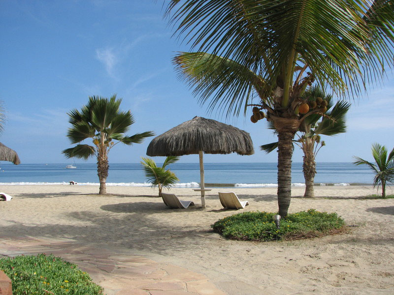 Palm trees and beach chairs dot the beach in Punta Sal, Peru.