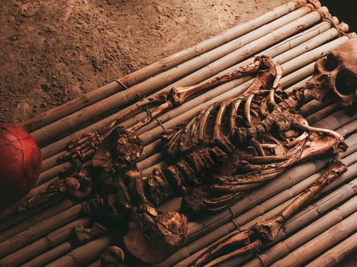 A skeleton next to a ceramic pot at the Royal Tombs of Sipan Museum in Lambayeque.